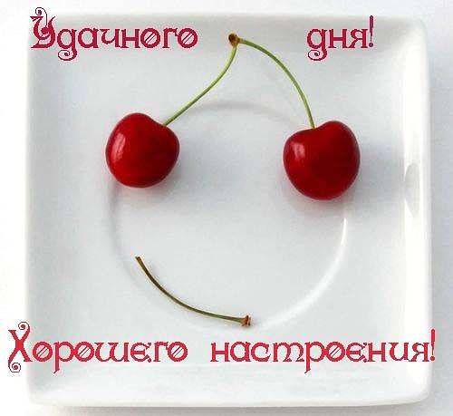 Александра Николаева