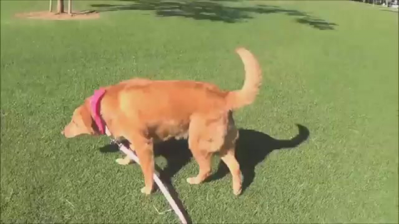 How to go