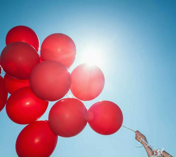 Влада Момот, Украина, Львов