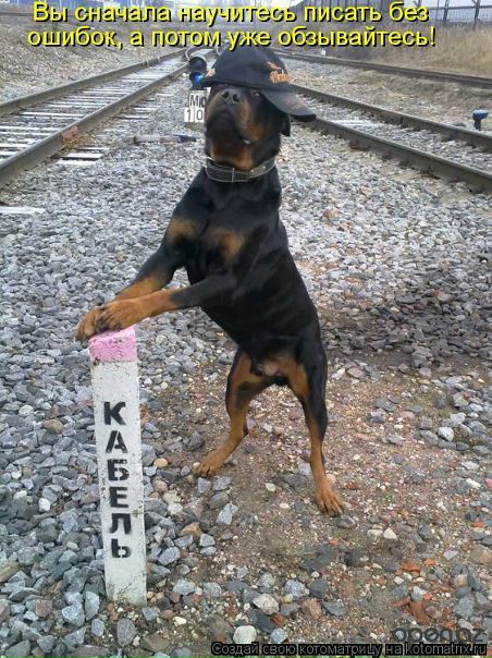 Дмитрий Иванов, Россия, Волгоград