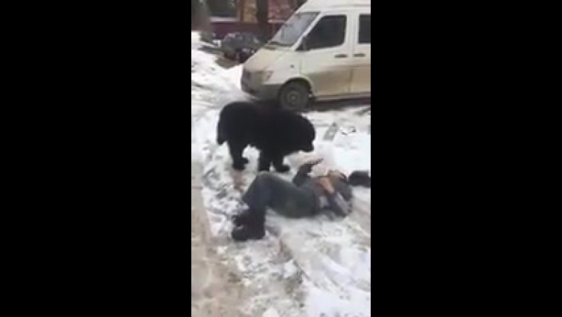 Межвидовой