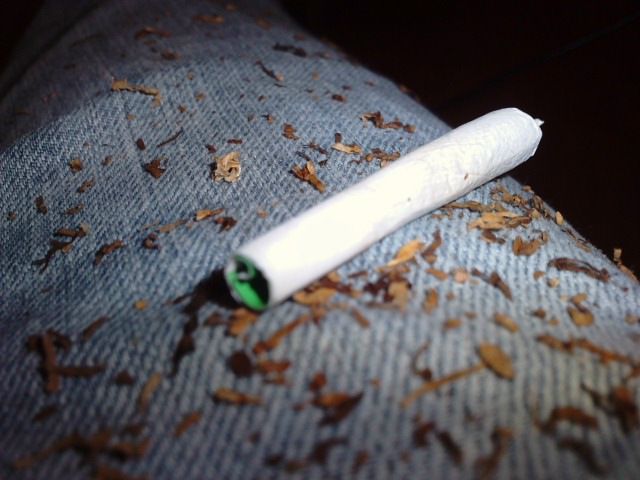 Vasya Plug фото профиля #2