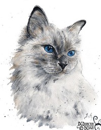 Наталья Терехова