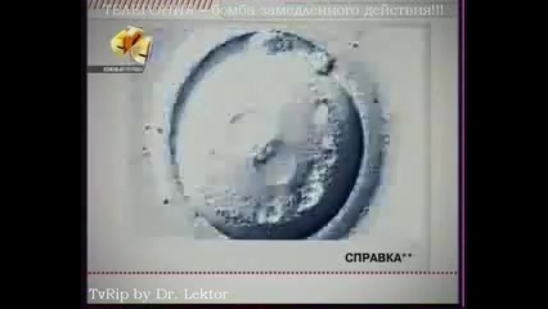 Телегония или как нам трахуют