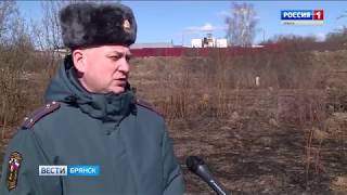 На Брянщине наступил пожароопасный период