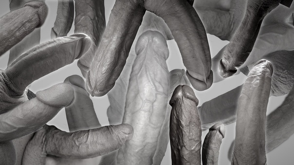 Wie lang ist euer penis