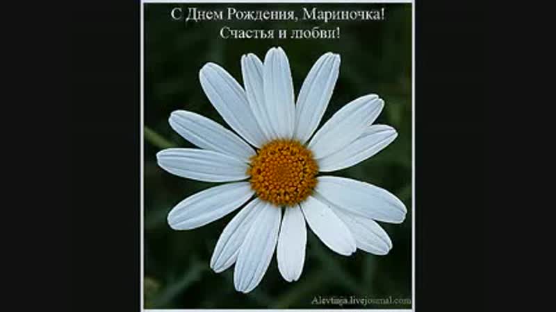 С Днем Рождения