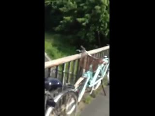 DHL ATTEMPTED MURDER REFUSE SEND DOC NAZI TORTURE TO STRSASBOURG EMAILS VIMEO CLOSD LIVE JOURNAL CLOSED DBAHN DOCS POLIZEI
