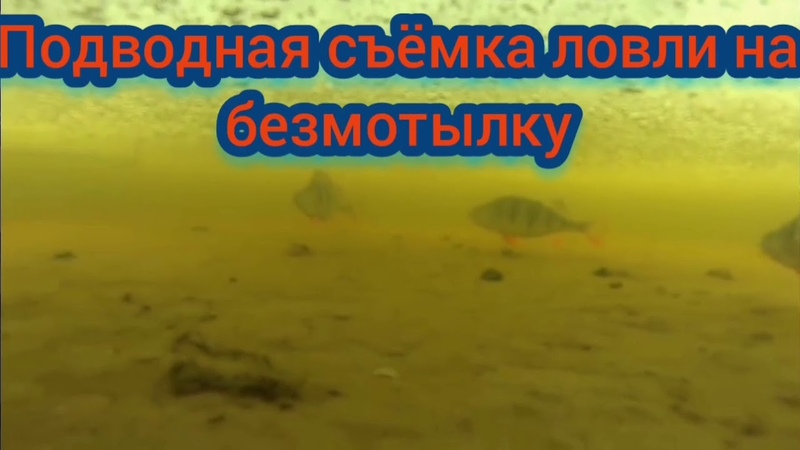 Подводная
