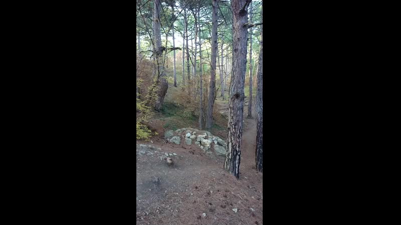 MOV_HFR_120F_20191108155944_000.mp4