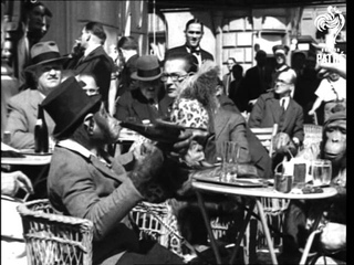 Chimps (1936)