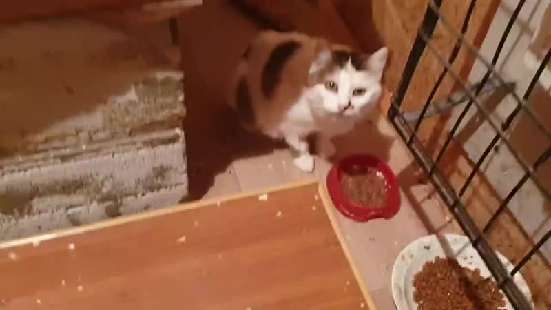 20200220_171112.mp4