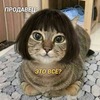 (^-^)