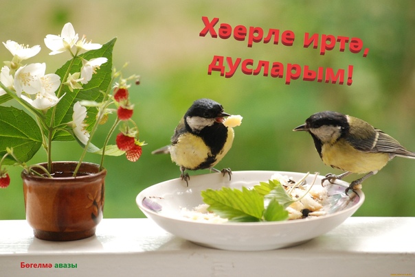 Доброе утро семейка