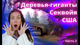 Национальные парки Америки - Чудо света! Аренда классного дома в парке Калифорнии!