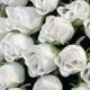 №30 Оксана Юрьевна 01.03: профиль, фото, статус - ВКонтакте