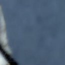 №121, Dana Migali, 30 лет, Ужгород №121, Dana Migali, 30 лет, Ужгород