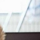 №111, Ира Драган, Одесса №111, Ира Драган, Одесса