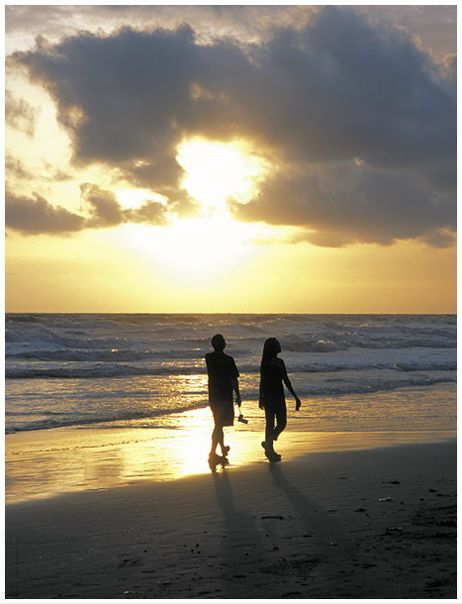 №16, Светлана Карсакова №16, Светлана Карсакова