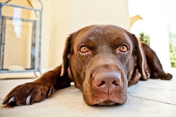 №2, Елена Попова, Москва №2, Елена Попова, Москва