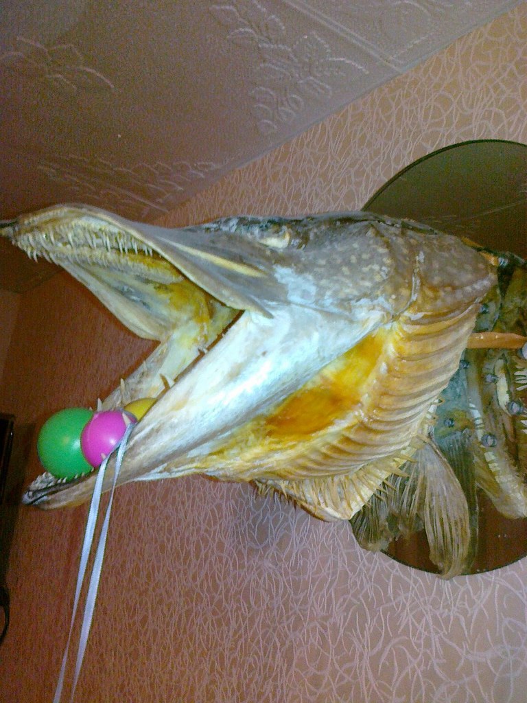 Михаил Силин | Пермь