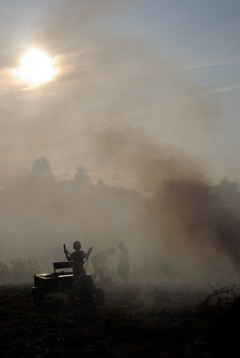 Алексей Рошников -mimos- | Москва