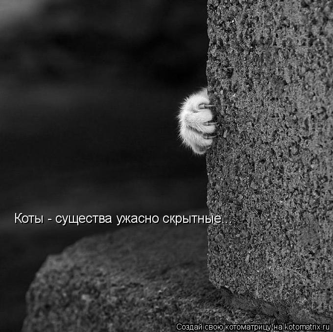 Алексей Пушкарёв [Simply_LexX] | Усть-Илимск