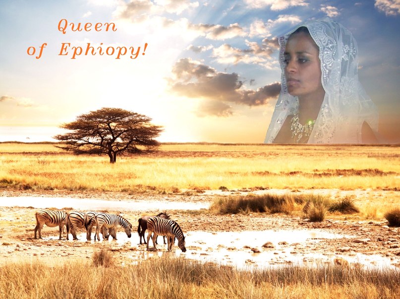 Элла Тимченко | Киев