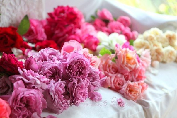 Айгуль Мавлютдинова ▲ | 