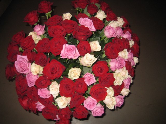 Альбина Мухаммадиева | Уфа