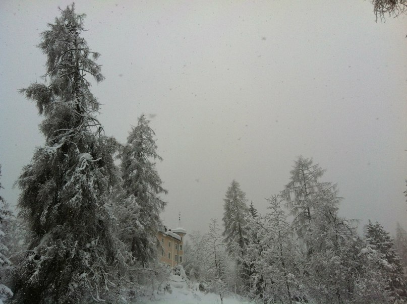 Александр Стерлин | Москва