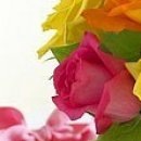 №198, Ленуська Богданова, Липецк №198, Ленуська Богданова, Липецк