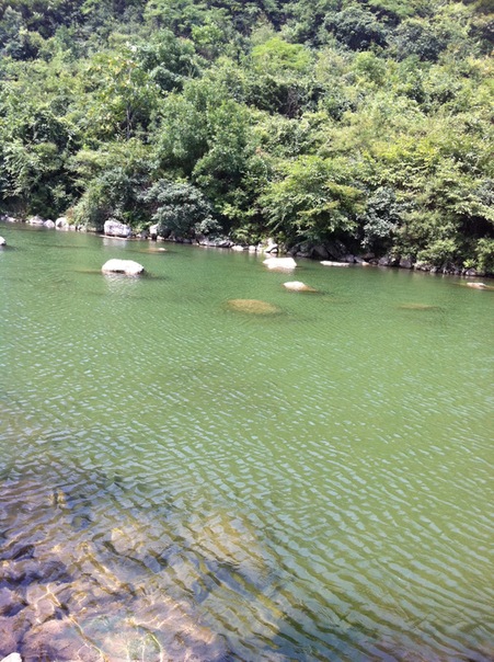 №4, Сыюй Цинь №4, Сыюй Цинь