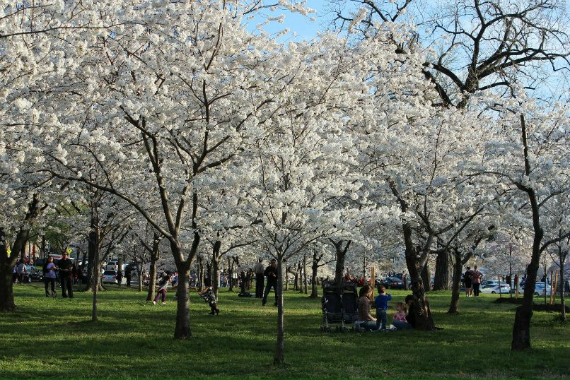 Валентина Кингсолвер | Albuquerque