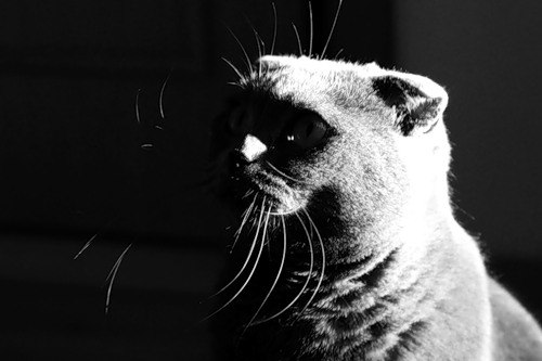 Сергей Иванов | Краснодар