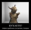Фотография Евгений Шершнёв
