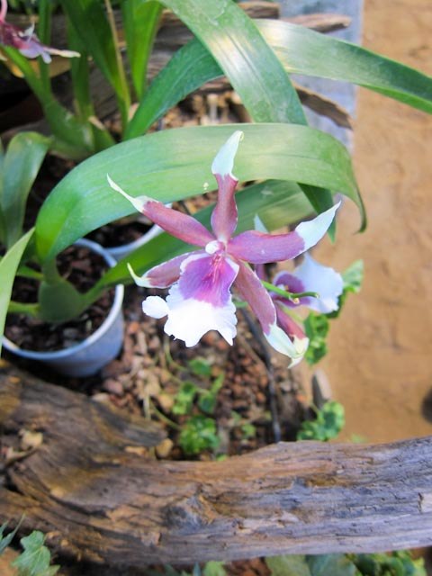 Анастасия Цветкова | Москва