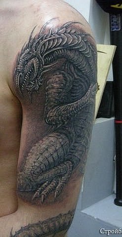 Дмитрий Беседин | Сочи