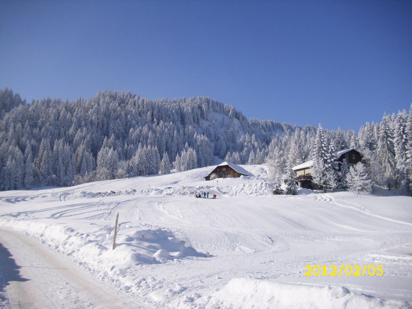 Елена Китова | Stuttgart