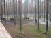 Владимир Гаспаревич фотография #46