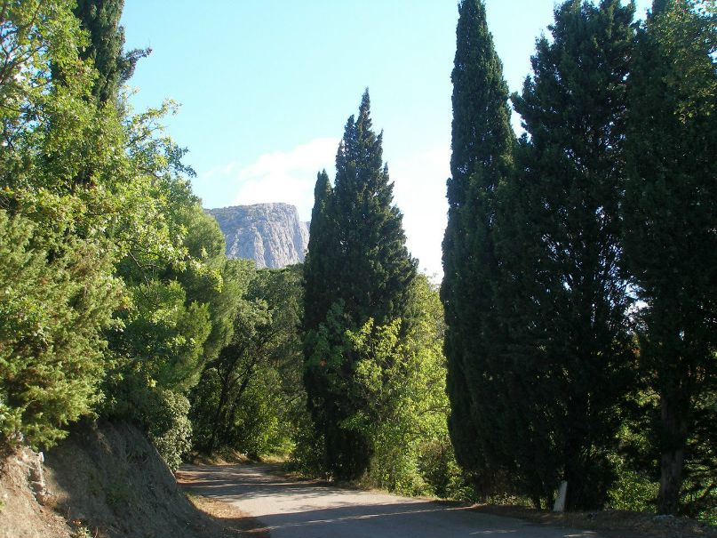 Таня Танина | 