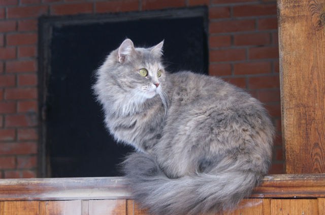 Анастасия Калашникова | Москва