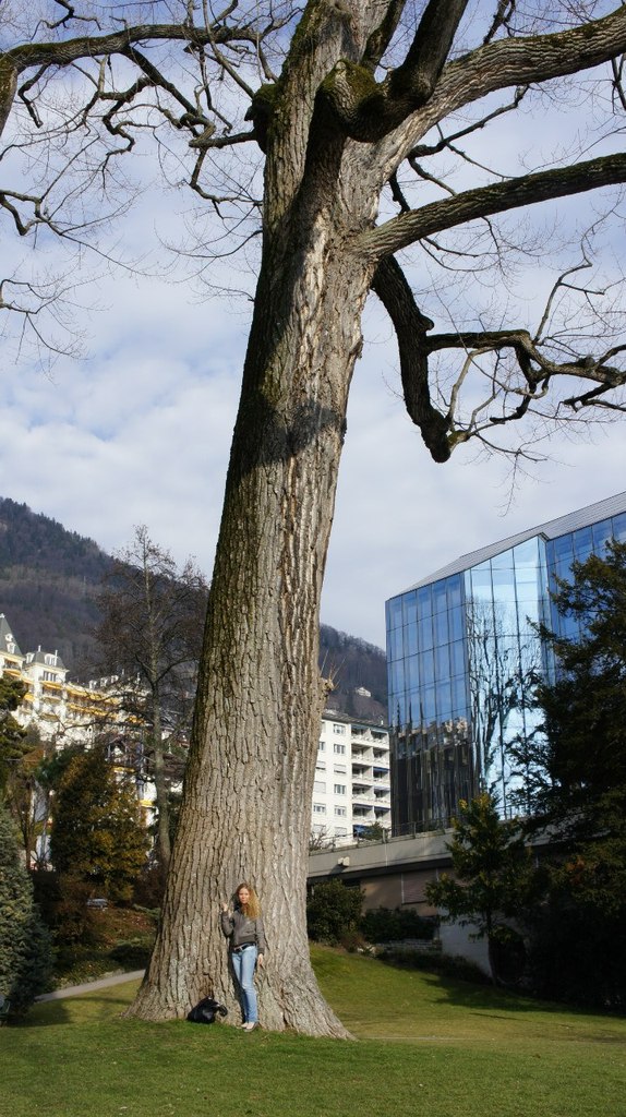 Анна Немирович | Barcelona