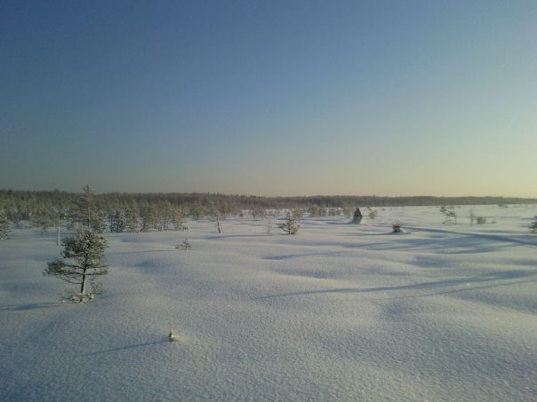 №2, Олег Каряшкин, 39 лет, Лисино-Корпус №2, Олег Каряшкин, 39 лет, Лисино-Корпус