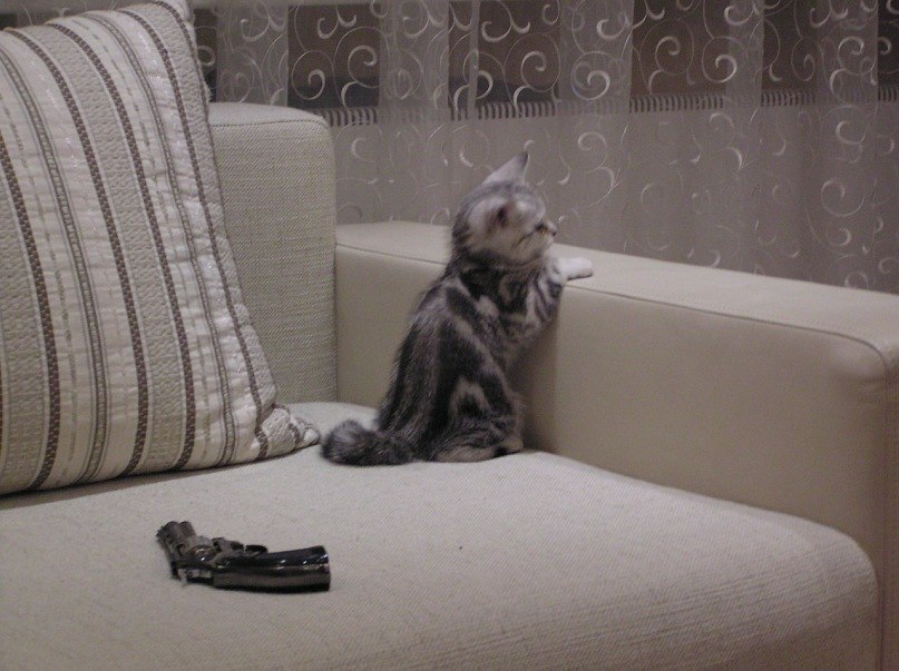 Артем Козлов | Омск