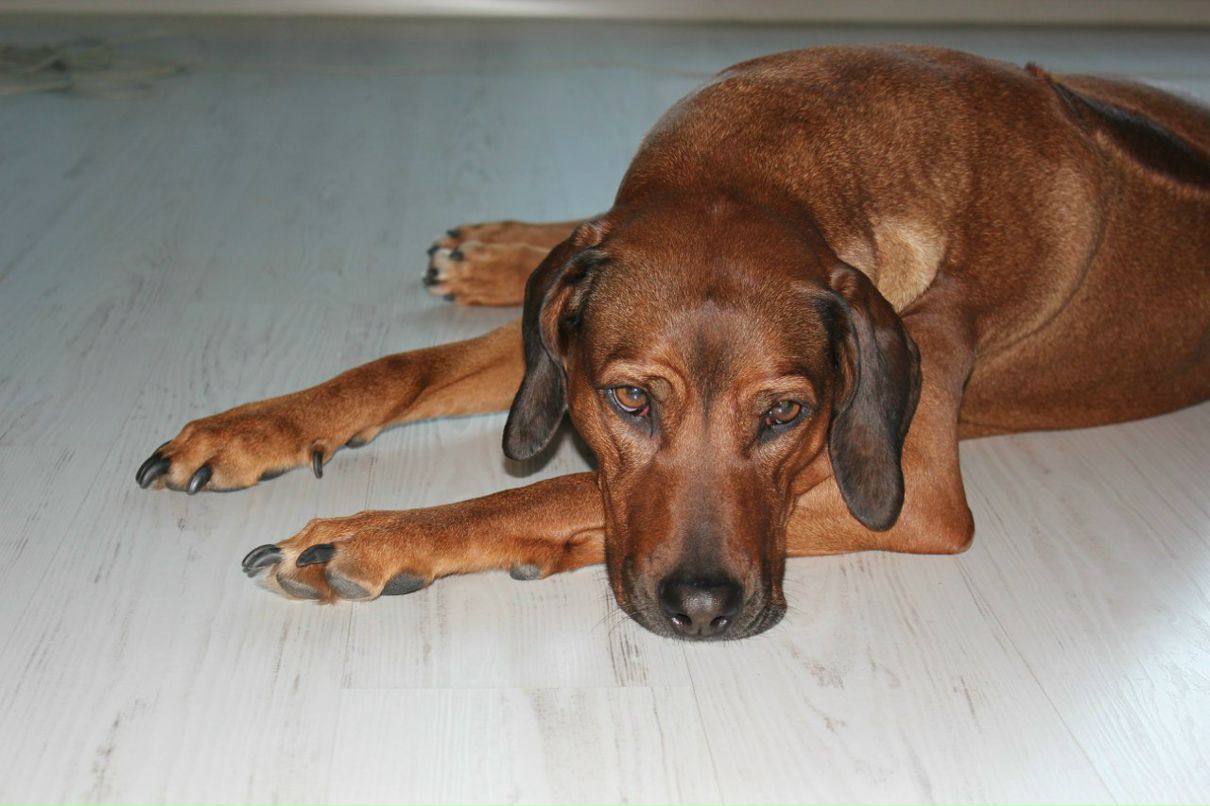 Даша Райскина | Москва