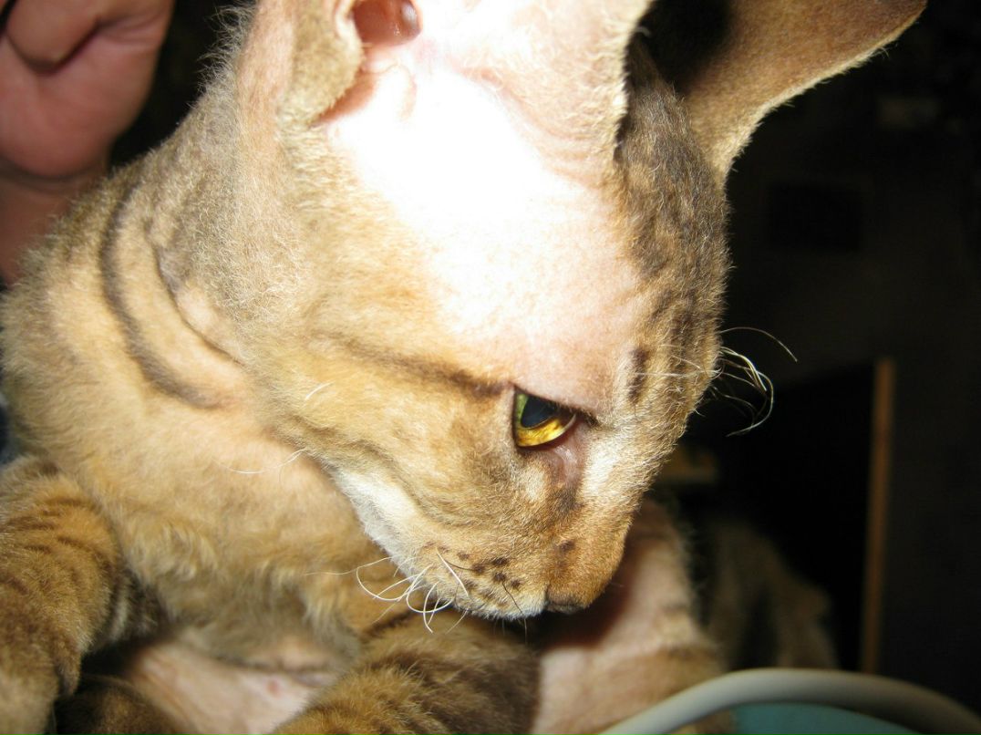 Наталья Загуляева | 