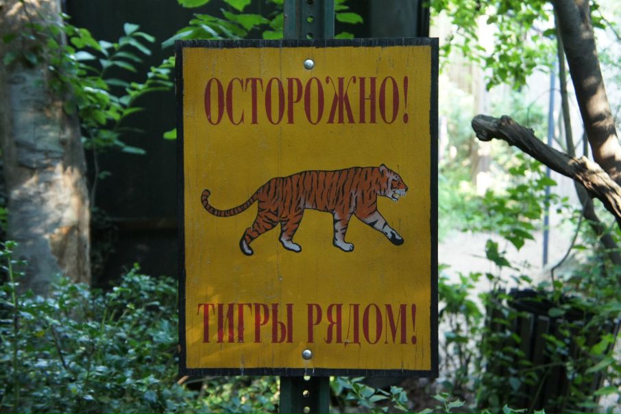 №60, Мария Кунинёва, Москва №60, Мария Кунинёва, Москва