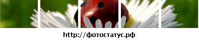 Фотография Александра Слуцкер