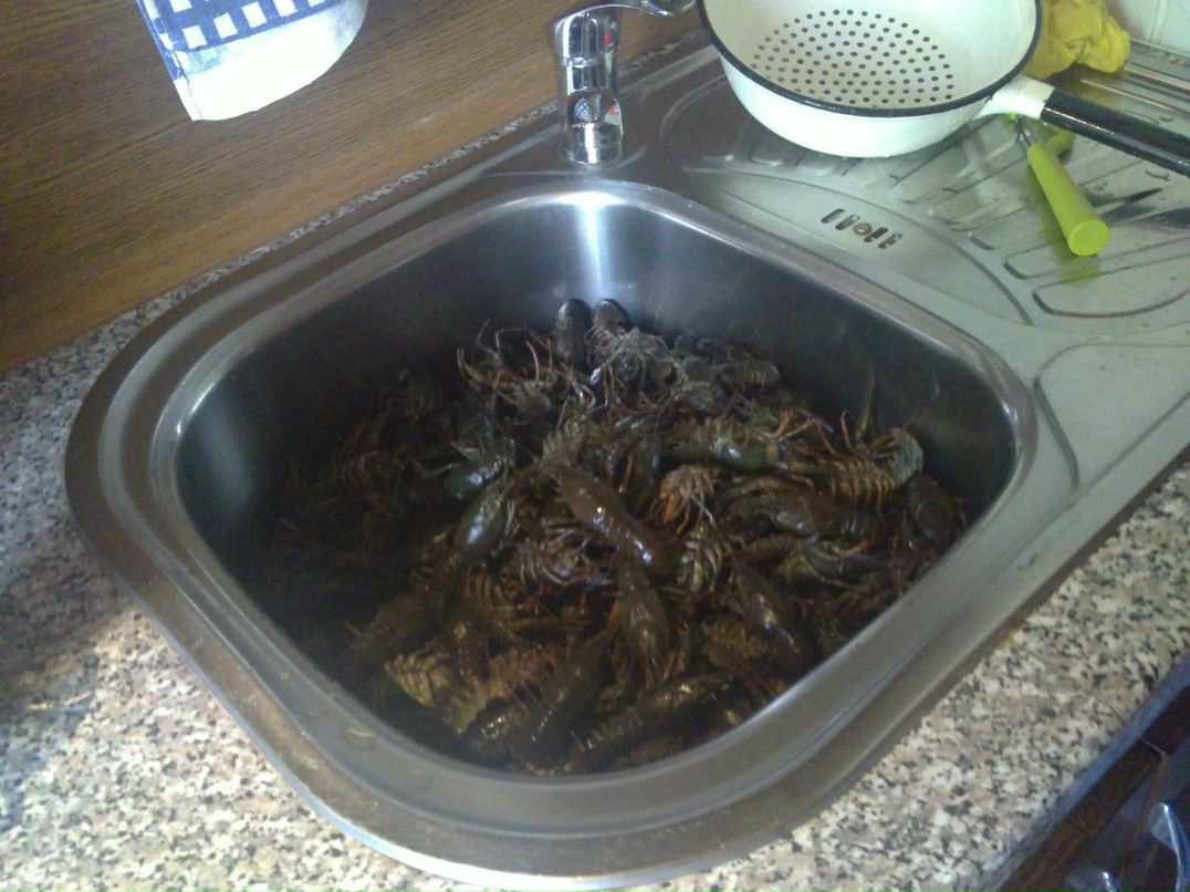 Александр Литвинов | Санкт-Петербург